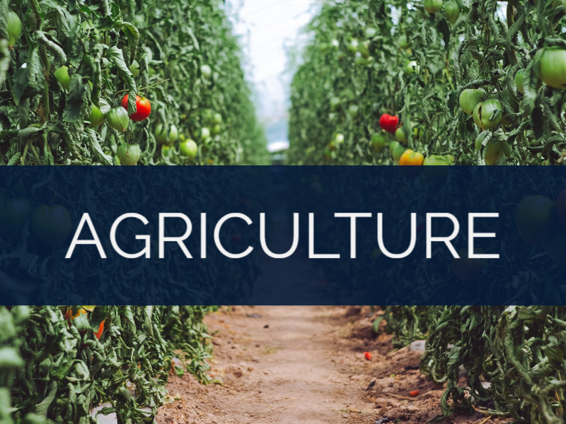 ECHELON LOCAL - ATLANTA GA | INTERNET MARKETING SERVICE | GROW YOUR BUSINESS | Agriculture-Industry
